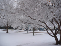 entraînement par temps froid en hiver