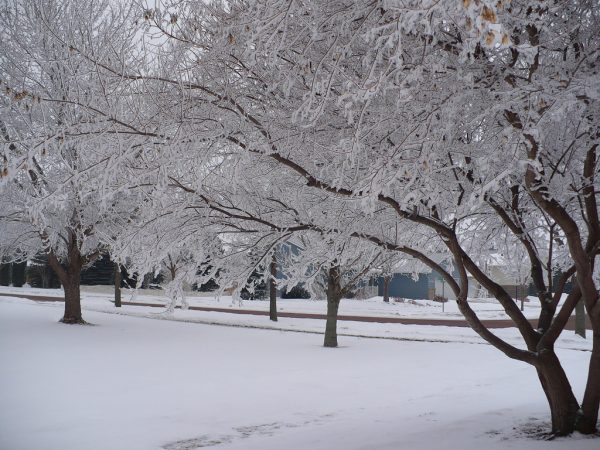 entraînement par temps froid en hiver