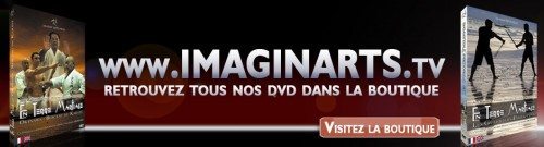 La boutique dvd video arts martiaux