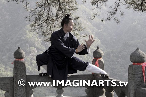 master Yuan Limin Wudang Shan