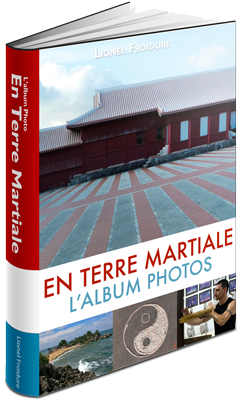 e-book arts martiaux Lionel Froidure