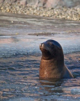 bain eau froide