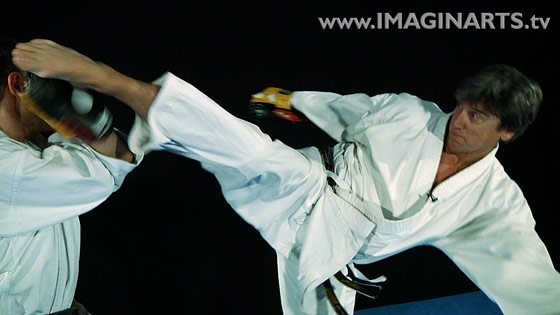 comment faire ira mawashi geri