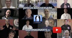 joyeux anniversaire imagin arts 2004-2014