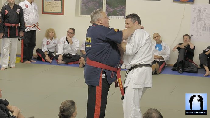 Georges Dillman, Kyusho Jitsu DKI