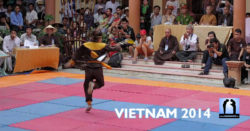 Vo Co Truyen vietnam 2014 - compétition et festival binh dinh