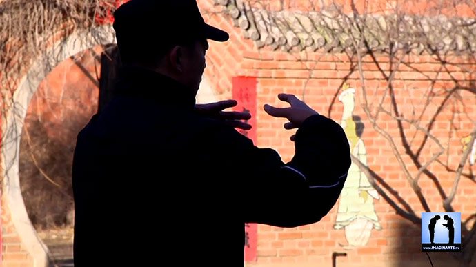 Zhan Zhuang en Yi Quan