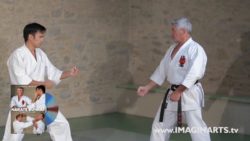 Jean-François Tisseyre - Karaté Shotokan FFkarate