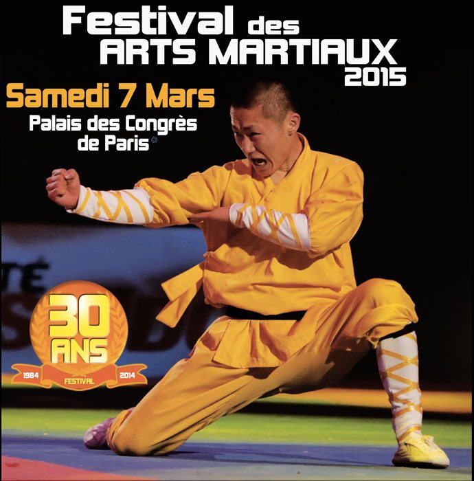 festival arts martiaux bercy