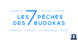 7 pêchés des pratiquants d'arts martiaux