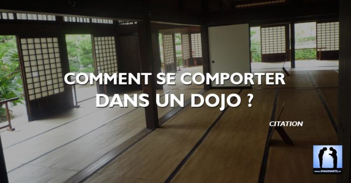 comportement dojo