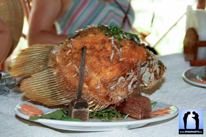 poisson éléphant vietnam