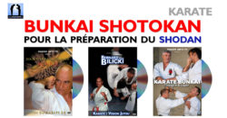 Bunkai Karaté pour préparer sa ceinture noire