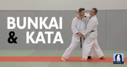 bunkai kata karate avec lionel froidure