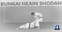 bunkai heian Shodan karate Lionel Froidure