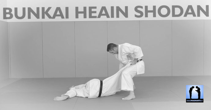 bunkai heian Shodan karate Lionel Froidure