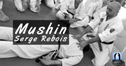 Mushin Serge Rebois et Kyusho Shiatsu