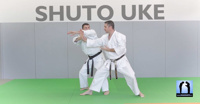 Shuto Uke Karate avec Lionel Froidure