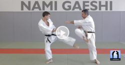 ami gaeshi karate avec Lionel Froidure