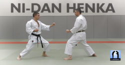 Ni-dan henka karate shotokan avec Lionel Froidure