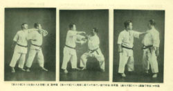 sensei mabuni kempo