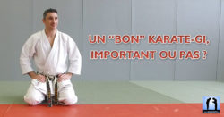 bon karate-gi kimono seishin shureido pour le karate