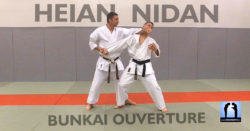 heian nidan bunkai karate avec lionel froidure