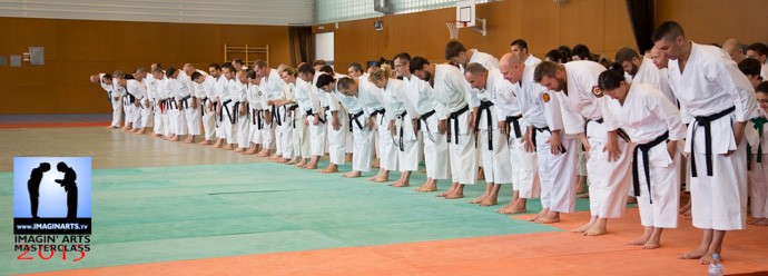 masterclass karate gi