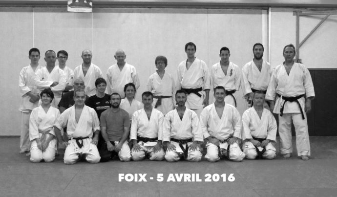 photo stage karate foix avril 2016 lionel froidure