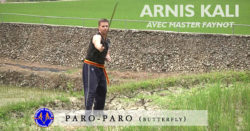 arnis kali paro-paro avec master Dani Faynot