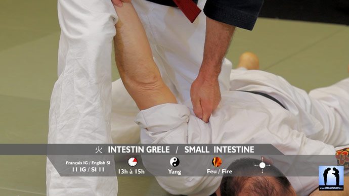 méridien intestin grêle point 11