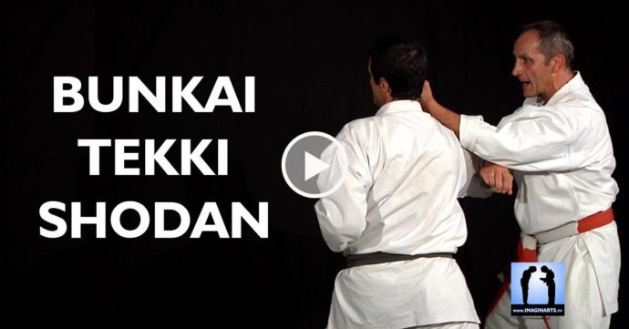 karate bunkai tekki shodan avec Bernard Bilicki