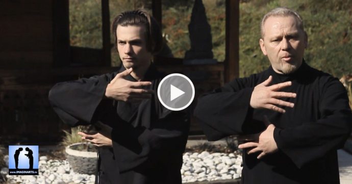 Taichi wudang 13 pas