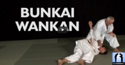 karate bunkai wankan jean-pierre lavorato sensei