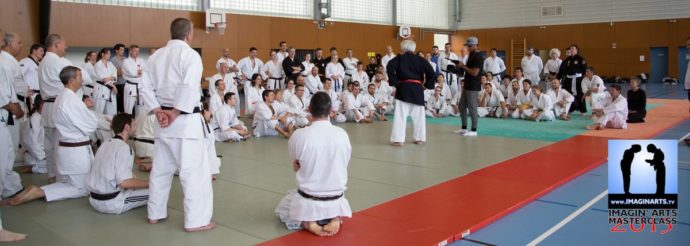 stage avec sensei Roland Hernaez