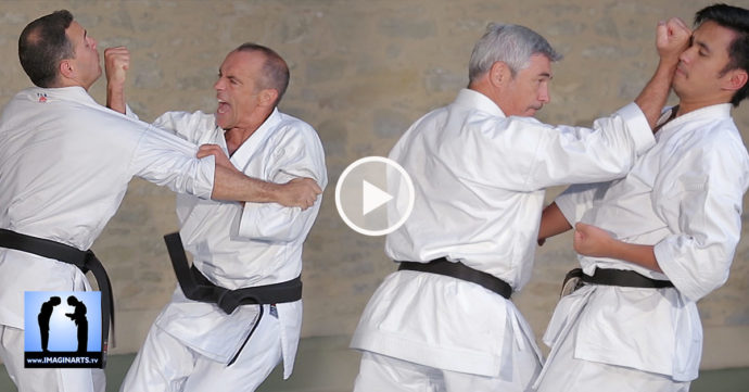 heian yodan bunkai jean-ftançois tisseyre et didier lupo