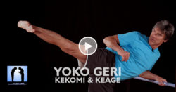 yoko geri kekomi et keg avec Pierre Blot