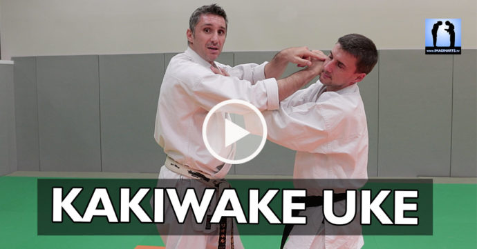 kakiwake uke karate bunkai