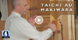 taichi fajin au makiwara avec Thierry Alibert