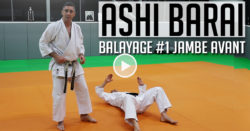 ashi barai karate - balayage jambe avant