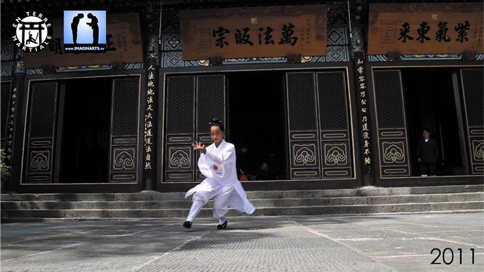 wu weisan 2011 wudang bagua