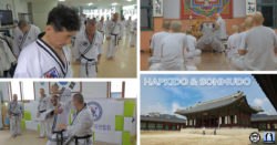 hapkido et sonmudo documentaire