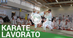 karate : lavorato contres et esquives