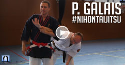 nihon tai jitsu philippe galais