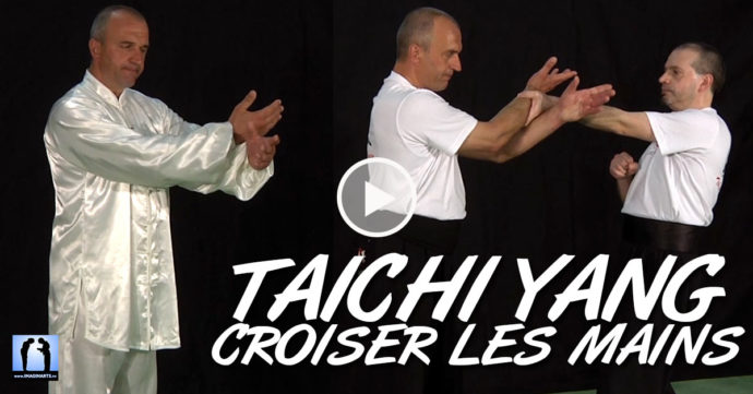 taichi chuan Yang - appuyer et croiser les mains avec Thierry Alibert