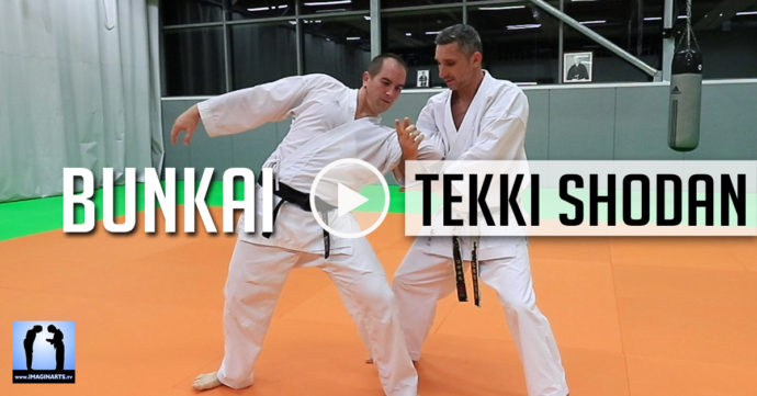 Bunkai tekki shodan karate avec Lionel Froidure