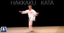 Hakkaku Kata karate shorin-ryu