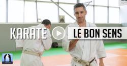 Bunkai dans le bon sens - karate avec Lionel Froidure