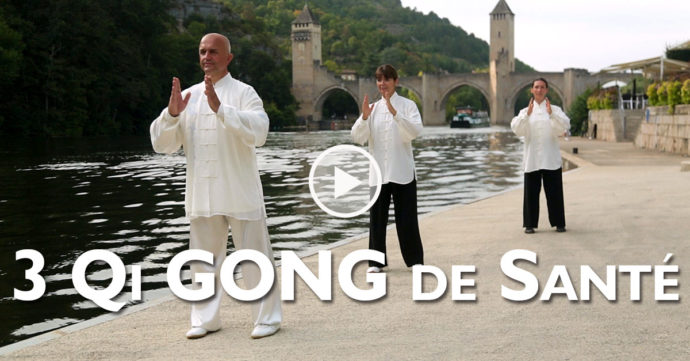 DVD video Qi Gong de Santé avec Thierry ALibert