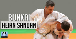 bunkai heian sandan karate avec Lionel Froidure